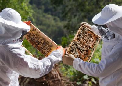 Asociatyvi nuotr. Canva nuotr.