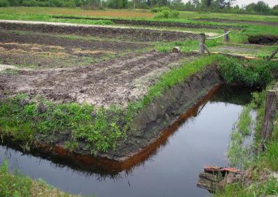 Asociatyvi nuotr.