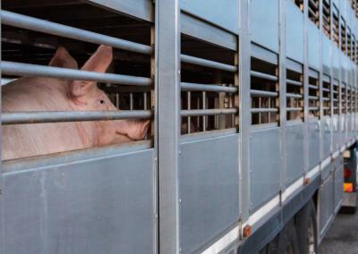 Asociatyvi nuotr. Canva nuotr.