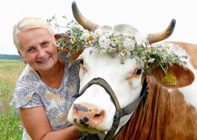 Meilūnų kaimo ūkininkė Sandra Bieliauskienė, laikanti penkias karvutes, žada pasilikti tik vieną numylėtinę, džersių veislės mišrūnę Tapkę, o kitas parduos, nes ūkininkauti – neapsimoka. 