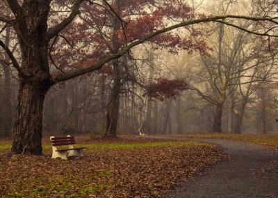 Asociatyvi nuotr. Canva nuotr.