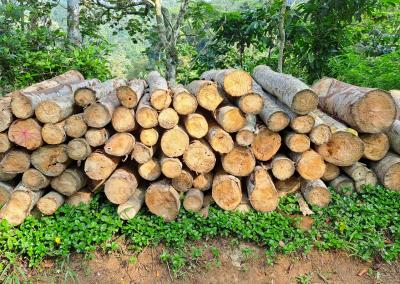 Asociatyvi nuotr. Canva nuotr.