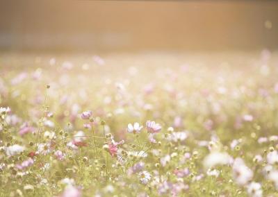 Asociatyvi nuotr. ŽŪM nuotr.