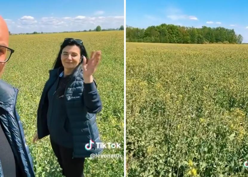 Skandalingo vaizdo įrašo stop kadrai.