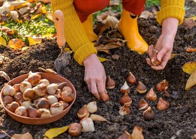 Dzūkų žinių nuotr.