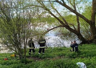 Rinkos aikštės nuotr.