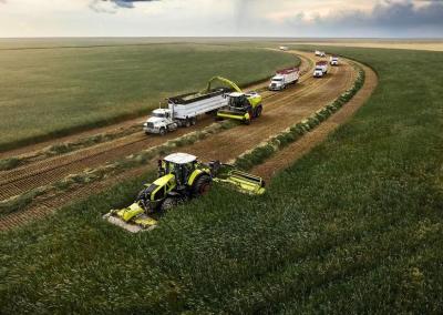 Claas Jaguar 1200 siekia pasaulio našumo rekordo. Claas nuotr.