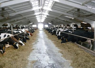 Asociatyvi nuotr. Pieno ūkis nuotr.