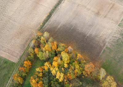 Aplinkos ministerijos nuotr.