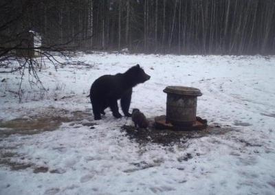 Estijos medžiotojų asociacijos nuotr.