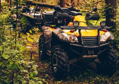 Keturračiai. AM nuotr.