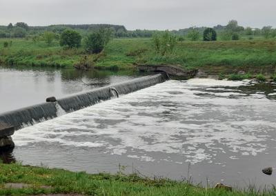 Nevėžis. Kėdainių mugės nuotr.