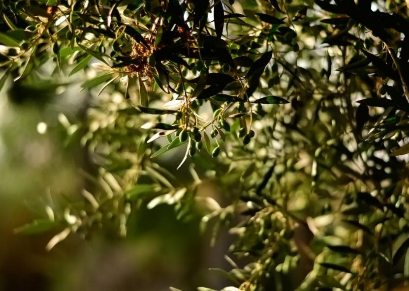 Asociatyvi nuotr. Canva nuotr. 